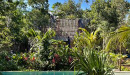 noiz-architekti-bratislava-palapa-tulum-thmb